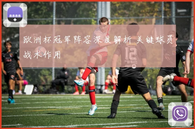 欧洲杯冠军阵容深度解析 关键球员战术作用