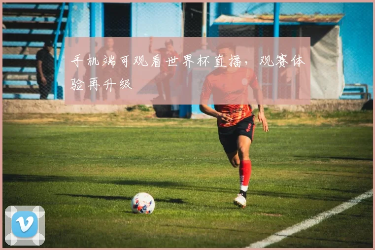 手机端可观看世界杯直播，观赛体验再升级
