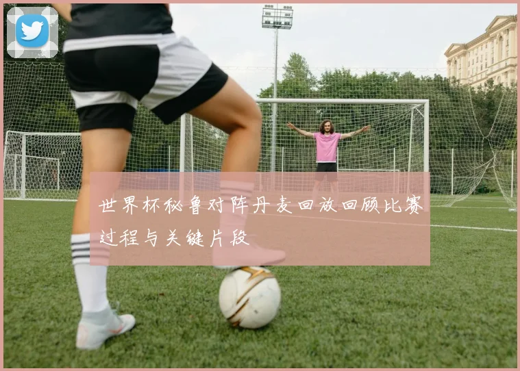 世界杯秘鲁对阵丹麦回放回顾比赛过程与关键片段