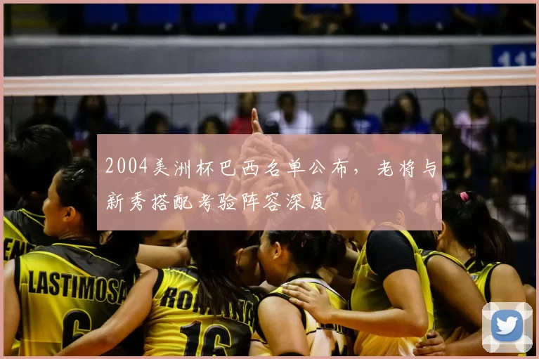 2004美洲杯巴西名单公布，老将与新秀搭配考验阵容深度