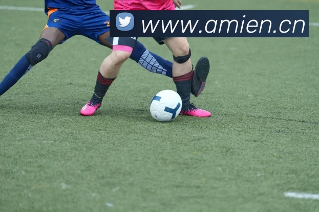 世界杯足球赛官网发展历程